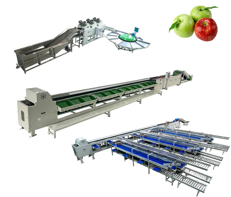 images/1741675985852cost of apple grading machine.jpg